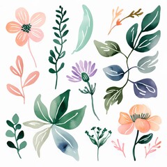 Delicate Botanical Line Art with Pastel Watercolors