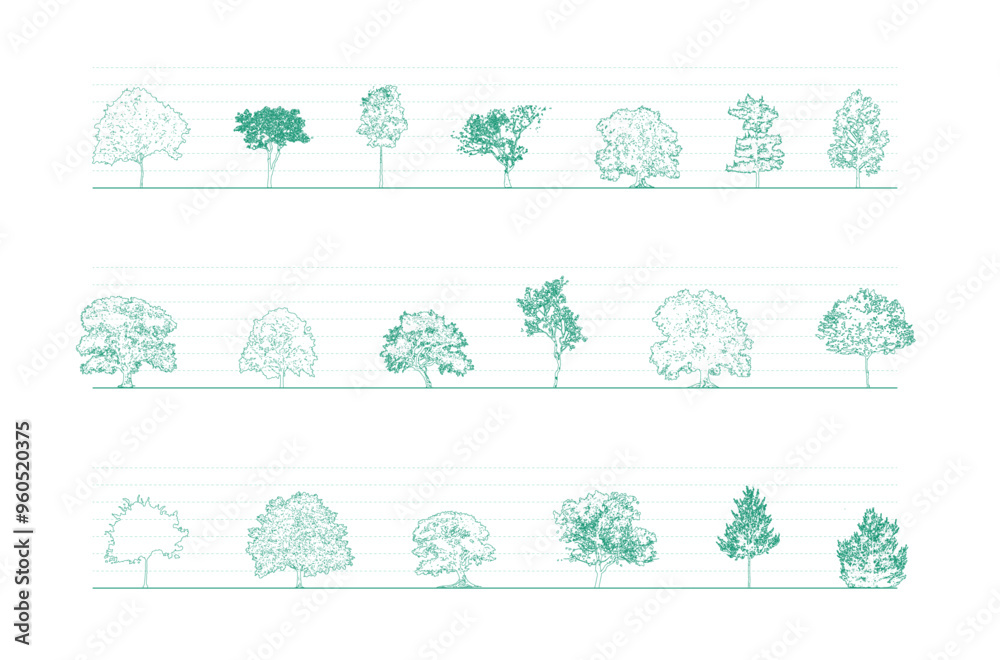Poster Minimal style cad tree line drawing, Side view, set of graphics trees elements outline symbol for architecture and landscape design drawing. Vector illustration in stroke. Tropical
