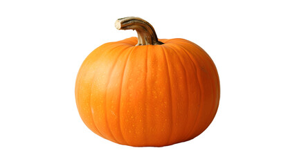 Obraz premium Single bright orange pumpkin with stem on black background autumn harvest