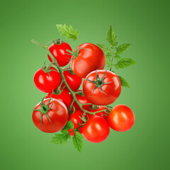 Fresh tomatoes with leaves in air on green background