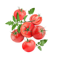 Fresh tomatoes with green leaves in air on white background