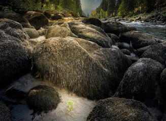 Wenatchee River