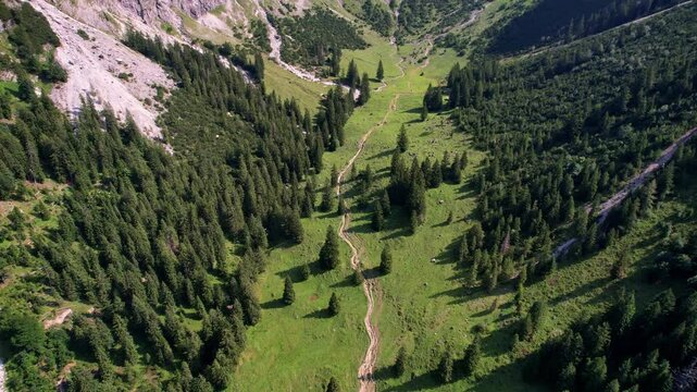 4K Aerial Drone video of the most beautiful mountain lake Schrecksee in Bavarian Alps with the cows feeding on lush green grass on a sunny day with blue skies and rocky hill tops surrounding