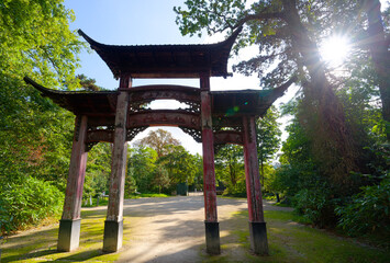 Fototapety na wymiar - Fototapeta24.pl