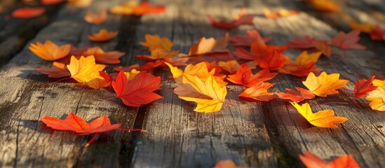 Crisp autumn leaves scattered on a wooden surface showcasing a vibrant array of colors that highlight the beauty of the changing season