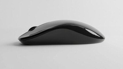 Black computer mouse on a white background