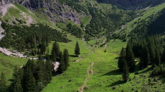 4K Aerial Drone video of the most beautiful mountain lake Schrecksee in Bavarian Alps with the cows feeding on lush green grass on a sunny day with blue skies and rocky hill tops surrounding