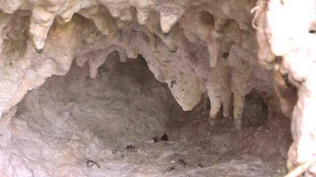 Nacimiento de agua en cueva, entorno natural &uacute;nico