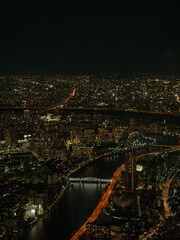 Fototapeta premium view of the Tokyo city at night with river and bridge