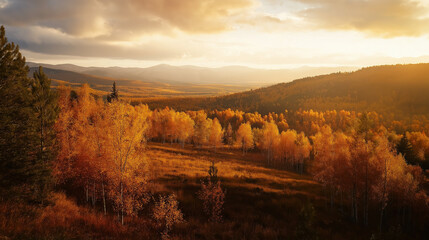 Golden sunset illuminating forest on mountain slopes in autumn