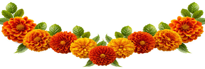 Orange and red marigold flowers isolated on a transparent background. Perfect for Chinese Mid-Autumn Festival, Indian Diwali toran decorations, or as a symbol of the Mexican Day of the Dead.