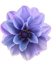 Fototapeta premium Vibrant Purple Flower Close-Up: Delicate Petals and Nature's Elegance, Botanical Photography, Perfect for Floral Design, Nature Concepts, and Aesthetic Decor