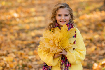 little blonde girl walks in the forest in autumn with a bouquet of leaves