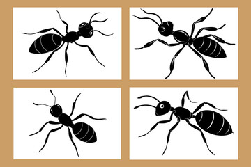 A set of Ants