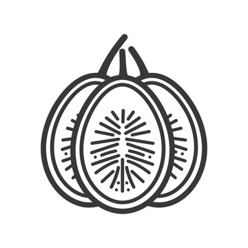 recommend clip art: Line art illustration of a sliced kiwi fruit