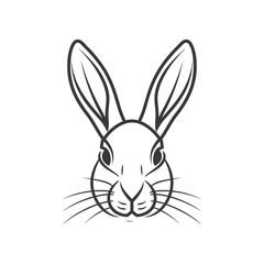 Line Art Illustration of a Rabbits Face