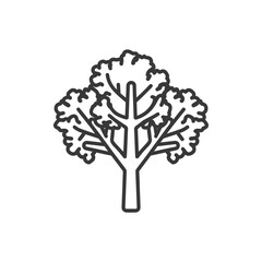 Line Art Illustration of a Single Kale Plant