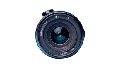 A single pic black bari on transparent background top view