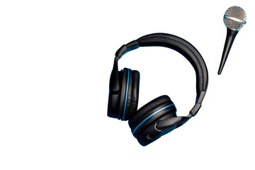 A single pic black bari on transparent background top view