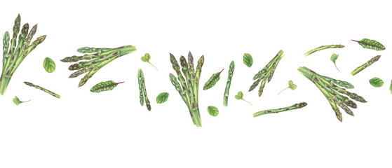 Fresh asparagus bundles with chard leaves, oregano, microgreen watercolor seamless border. Healthy tasty young spring vegetable stems with aromatic herbs illustration for kitchen textile, decor