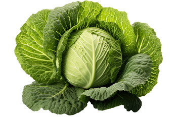 Cabbage isolated on clear white and transparent background