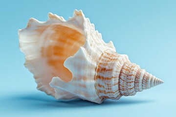 a macro image of a single, delicate seashell on a soft blue background, the shell's intricate patterns and ridges visible