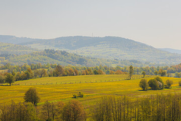 Scenic Rolling Hills and Verdant Fields in a Tranquil Countryside Setting