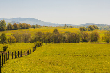 Tranquil Spring Meadow with Rolling Hills and Fence Line Under a Clear Sky