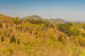 beautiful landscape of Walbrzych mountains seen from new viewing platform on top of Gomolnik Maly mountain at sunny day