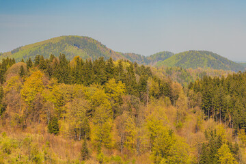 beautiful landscape of Walbrzych mountains seen from new viewing platform on top of Gomolnik Maly mountain at sunny day