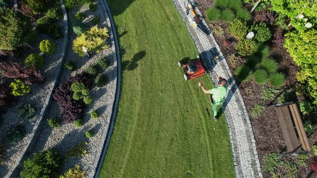 Lawn Scarification Process Aerial View. Gardener Pushing Professional Scarifier