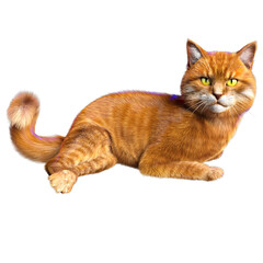 3D rendered illustration of a cute tabby magic cat isolated on transparent background 