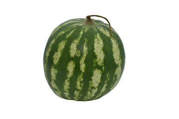 Small ripe striped watermelon on a white background.