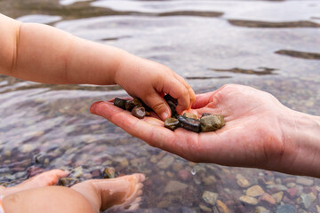 Child and Parent Share Special Moment by Collecting Stones in Waterton, Alberta, Canada.