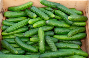 top view on cucumber in the container