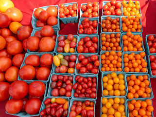 different color of cherry tomato in containers in farmer’s market