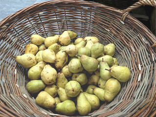 Freshly harvested pears in a wicker basket at a local farmers' market on a sunny afternoon
