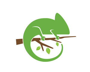 Creative chameleon vector illustration symbol design illustration  © Abrastack Stu Design