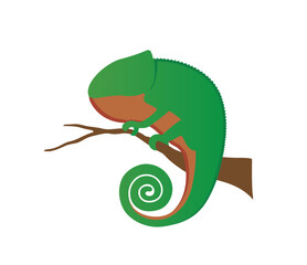 Creative chameleon vector illustration symbol design illustration	