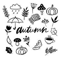 The different elements of fall, coins, fall