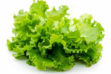 A pristine photograph of fresh, crisp lettuce leaves, beautifully isolated on a clean white background