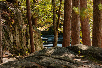 Looking over the shadowed boulders and through the red pines to the Pike River, Dave's Falls, Marinette County, Wisconsin in mid-September