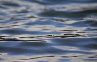 Waves in the water, wave structure, waves on the water, wave pattern, ripples on the water, blue water structure, abstract waves