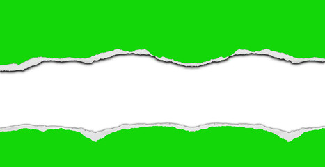Ripped green paper on white