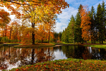 Autumn foliage in Catherine park, Pushkin (Tsarskoe Selo), Saint Petersburg, Russia
