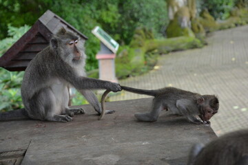 mother and baby