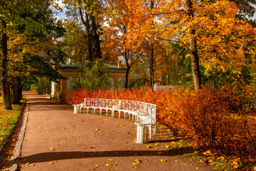 Catherine park in autumn foliage, Tsarskoe Selo (Pushkin), Saint Petersburg, Russia