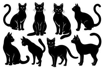 Fototapeta premium set of black cats