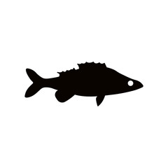 Vector illustration of fresh perch freshwater fish, solid black on white. For menu, label, recipe, product packaging. Freshwater food element. Action promotion and advertising. Caviar. EPS 10