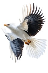 Naklejka premium Secretary Bird Flying on White Background, Photo Realistic, Wallpaper, Cover and Screen for Smartphone, PC, Laptop, 9:16 and 16:9 Format